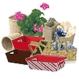 Basket and Trays